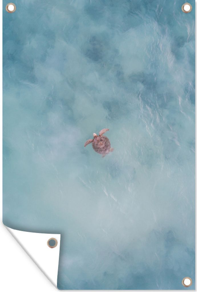MuchoWow 40x60 cm Outdoor-Poster Gartendeko Sichtschutz Garten Poster für den Garten Schildkröte im Meer der Karibik