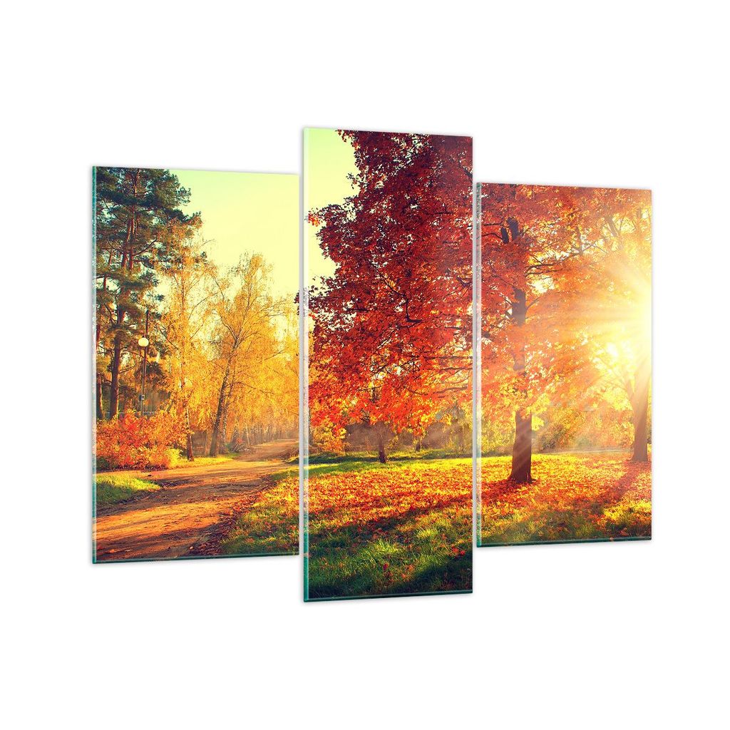 Bilder auf glas - Park Herbst Baum - 130x100cm - Glasbilder - Wandbilder - Kunstdruck - zum Aufhängen bereit - Wanddekoration aus Glas - Glas Bild...
