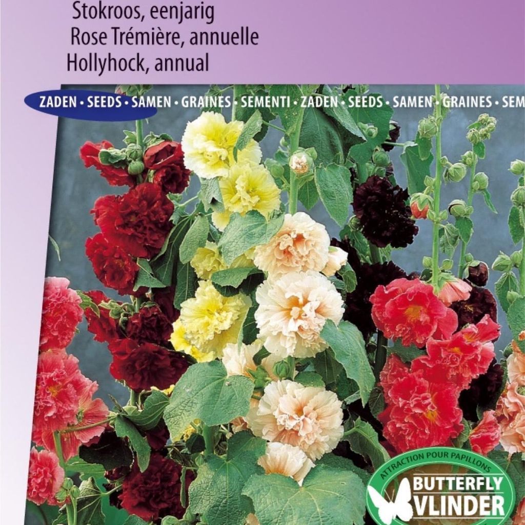 Summer Carnival Mix Stockrosensamen – – Züchten Sie farbenfrohe einjährige Stockrosen für Garten und Blumensträuße – hohe Qualität und ...