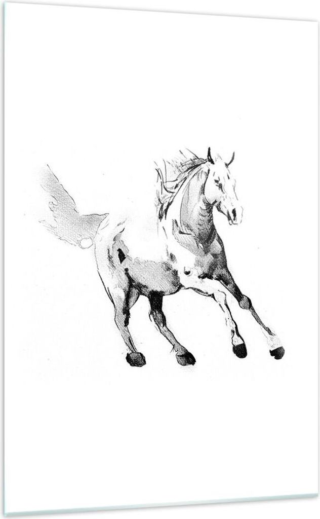 Bilder auf glas - Einteilig - Pferd Galopp Tier - 70x100cm - Glasbilder - Wandbilder - Bilder - zum Aufhängen bereit - Wanddekoration aus Glas - G...