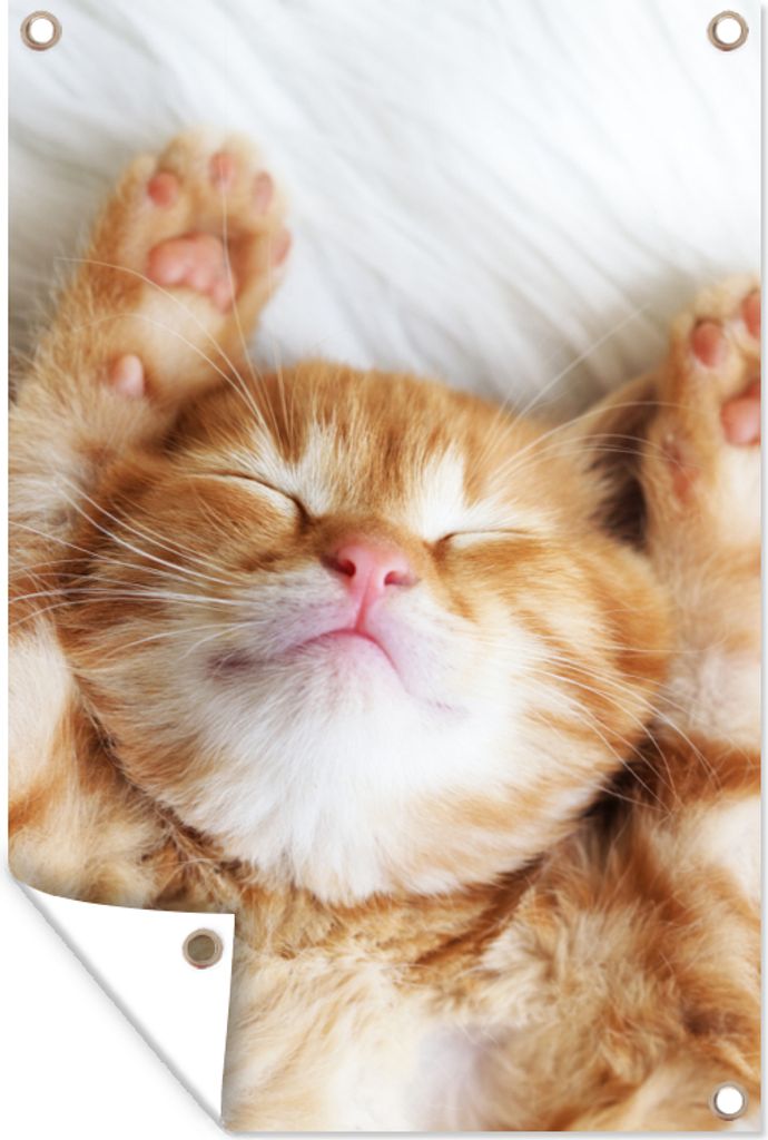 MuchoWow 40x60 cm Outdoor-Poster Gartendeko Sichtschutz Garten Poster für den Garten Katze - Rot - Haustiere - Kätzchen