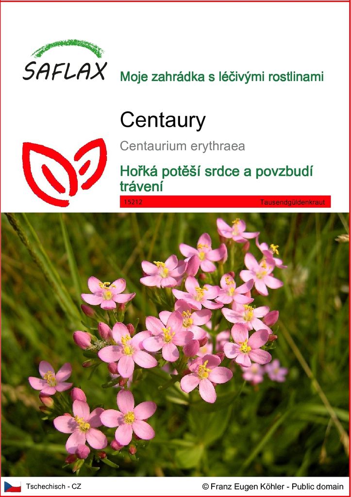 SAFLAX - Centaury - Centaurium erythraea - 250 Semena Obrázek produktu 