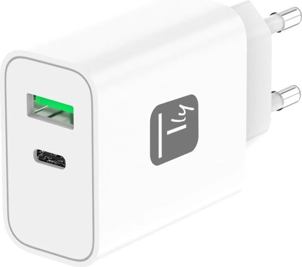 Techly IPW-USB-30WACG Caricatore USB-C 30W GaN Bianco da Casa