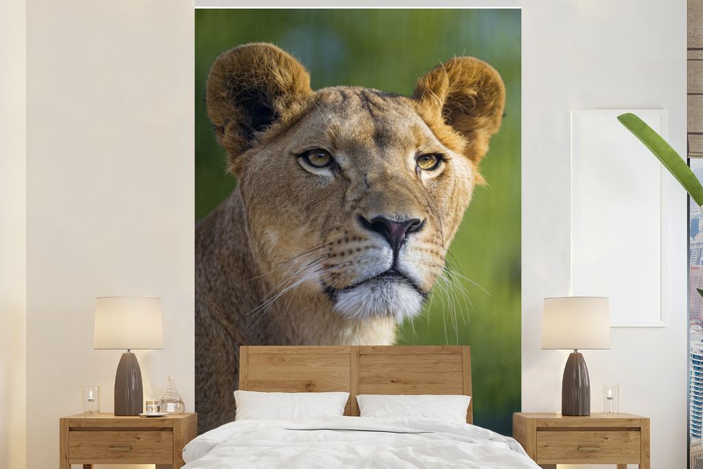 MuchoWow Fototapete für Wohnzimmer oder Schlafzimmer Wandtapete Vinyl Motivtapete Porträt - Löwe - Wild - 145x220 cm - Wanddekoration