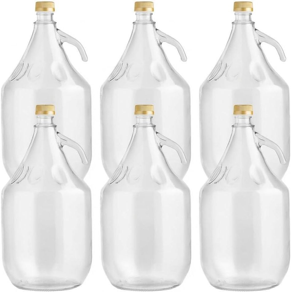 lilawelt24 6 x 5L Glasballon (Gallone) mit Produktbild 