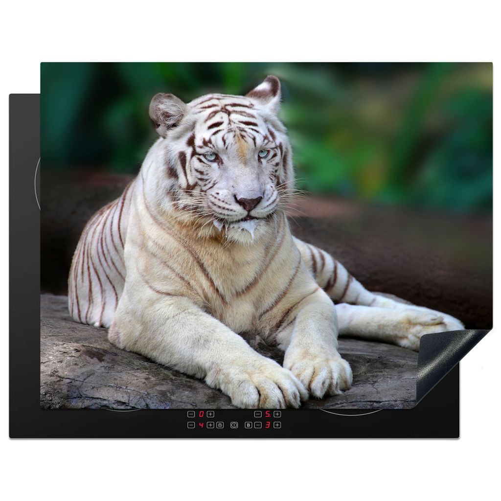KitchenYeah Herdabdeckplatte Weißer Tiger - Baumstamm - Wald , 77x59cm, Küche Deko, Glaskeramikkochfeld Herdabdeckung, Abdeckplatte fùr Kochfeld