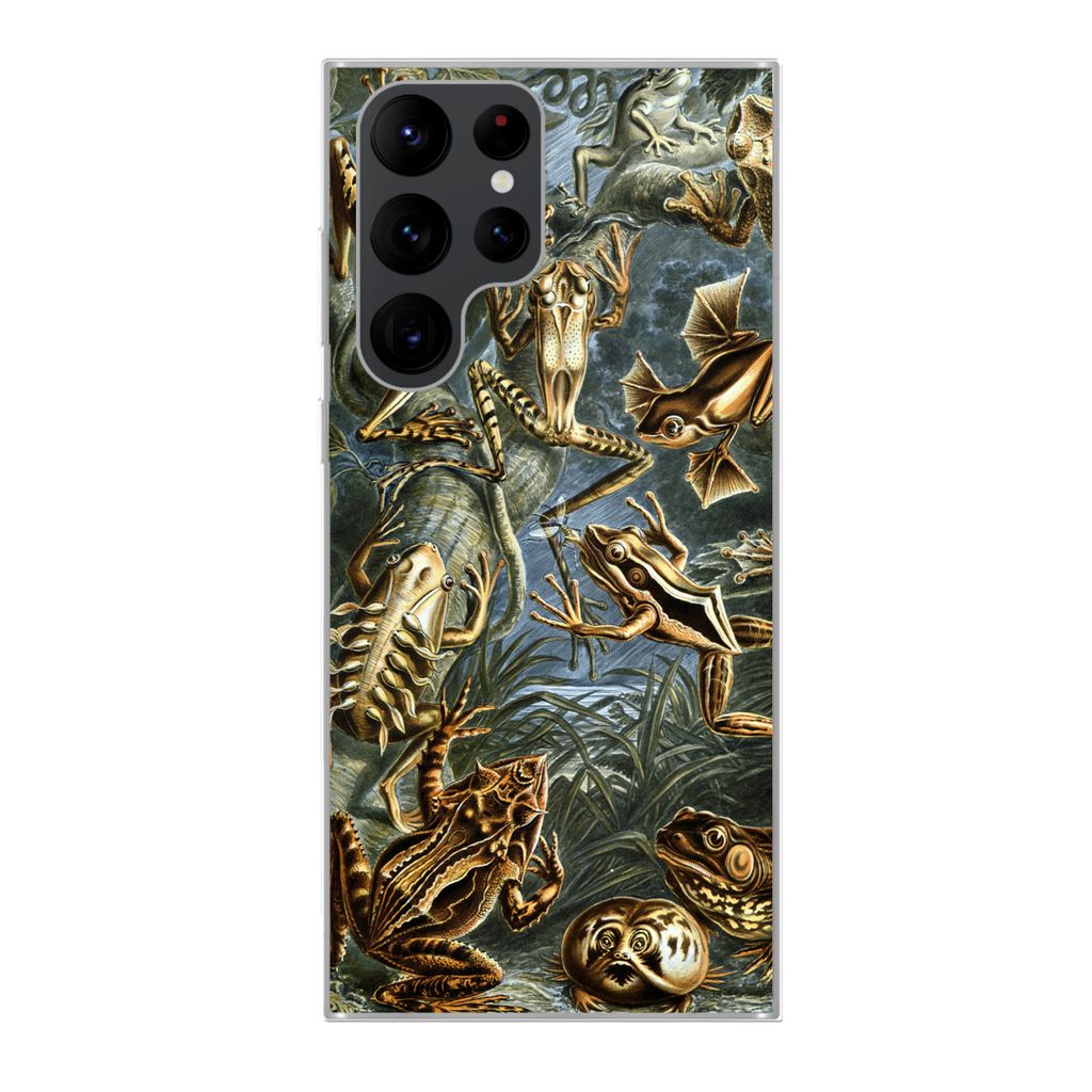 MuchoWow Handyhülle Schutzhülle Hülle für Samsung Galaxy S22 Ultra Batrachia - Haeckel - Alte Meister Silikon Softcase Handy Hülle - Abbildung