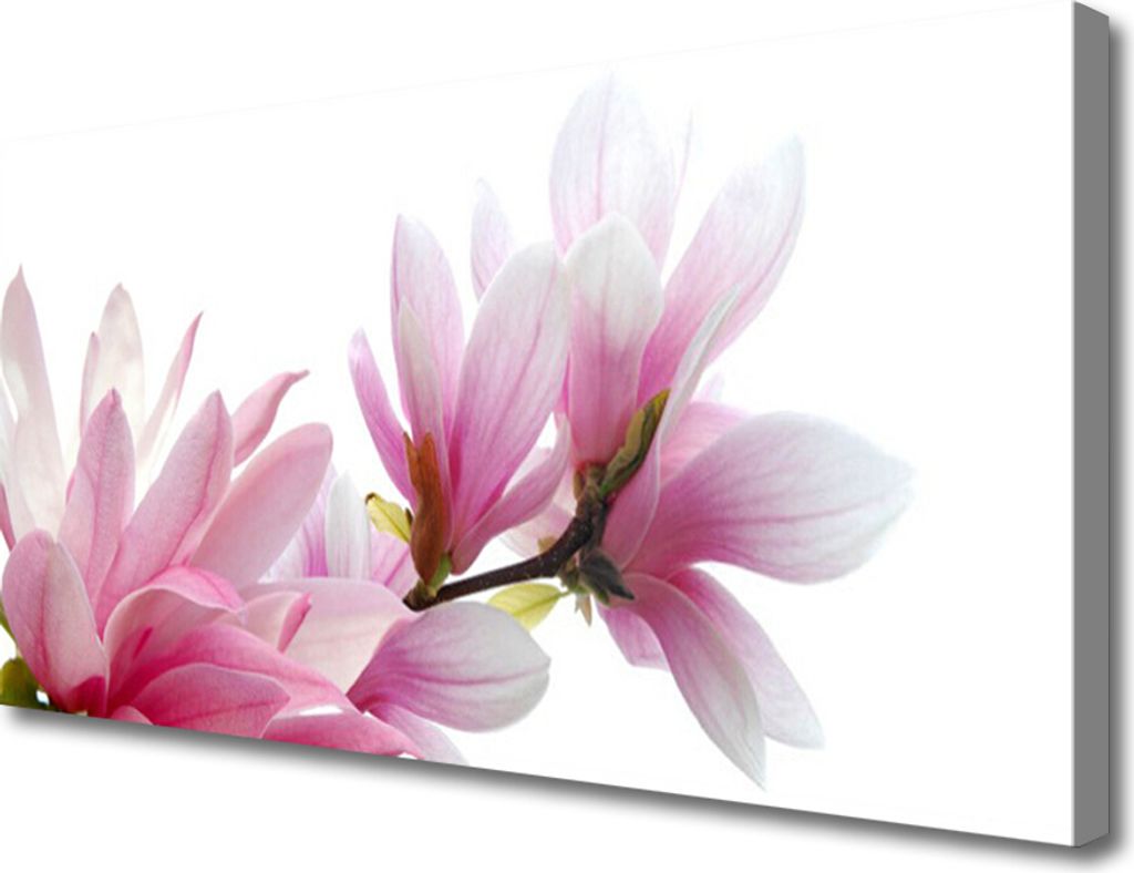 Tulup Leinwand-Bilder 100x50 Wandbild Canvas Kunstdruck Magnolienblüten Pflanzen