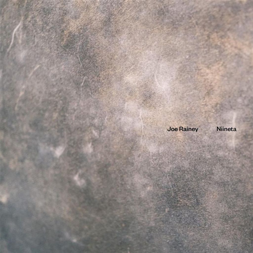 Joe Rainey: Niineta - 375 Media - (Vinyl / Experimental)