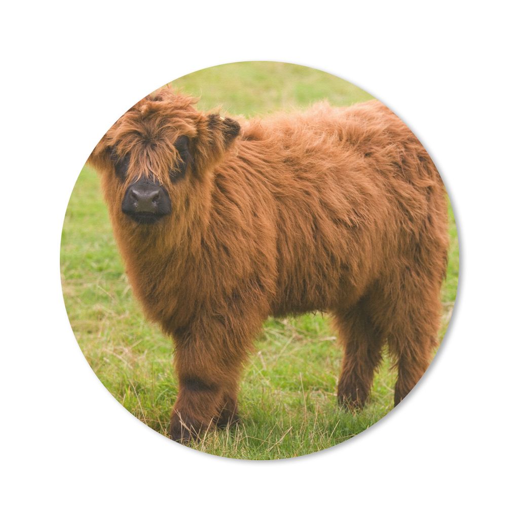 MuchoWow Mauspad Mousepad Schottischer Highlander - Leicht - Mantel 20x20 cm - Mousepads - Maus Mat - Pad - Mausunterlage - Schreibtischmatte