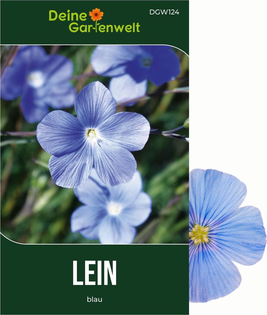 Lein blau Samen - Linum perenne - Leinsamen - Blumensamen - Saatgut für 50 Pflanzen