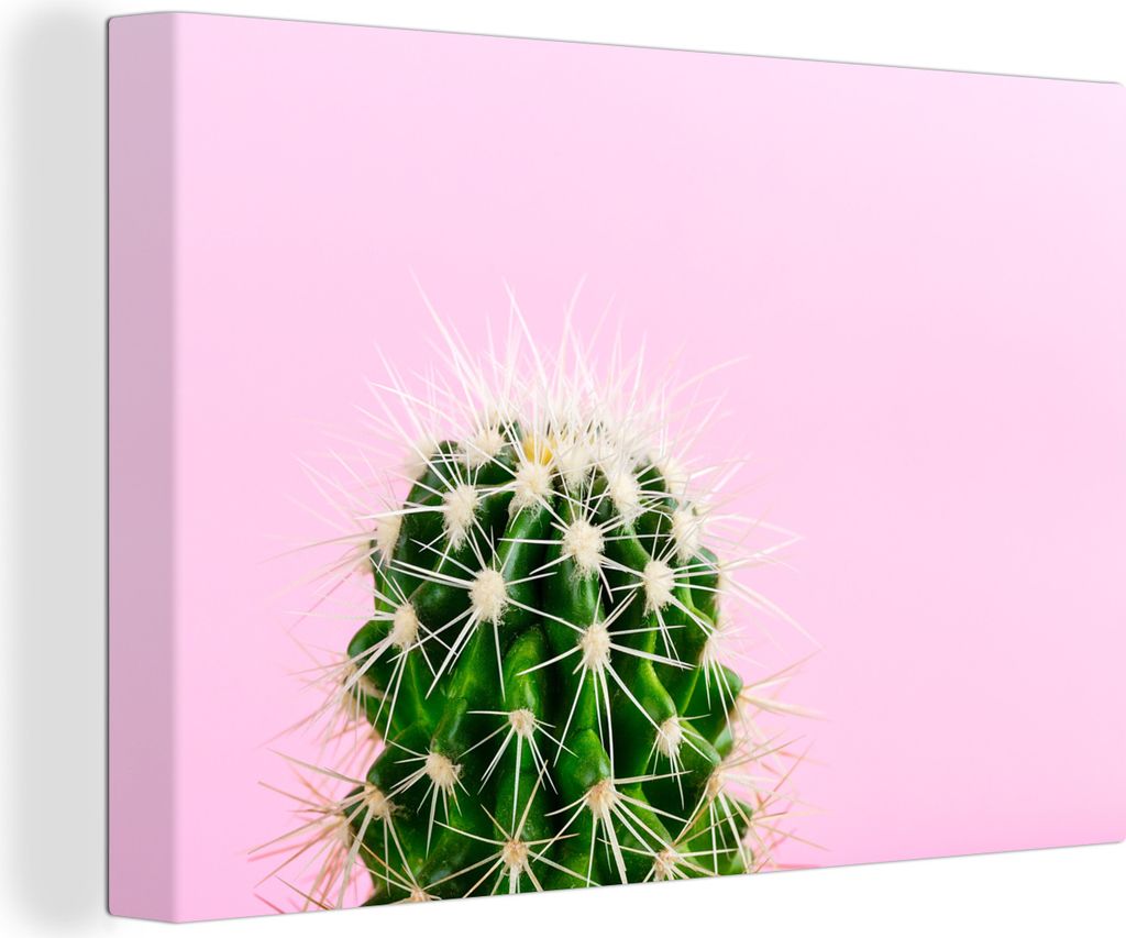 OneMillionCanvasses - Leinwandbilder - 150x100 cm, Kaktus auf Rosa, Wandbilder Kunstdruck Wanddekoration