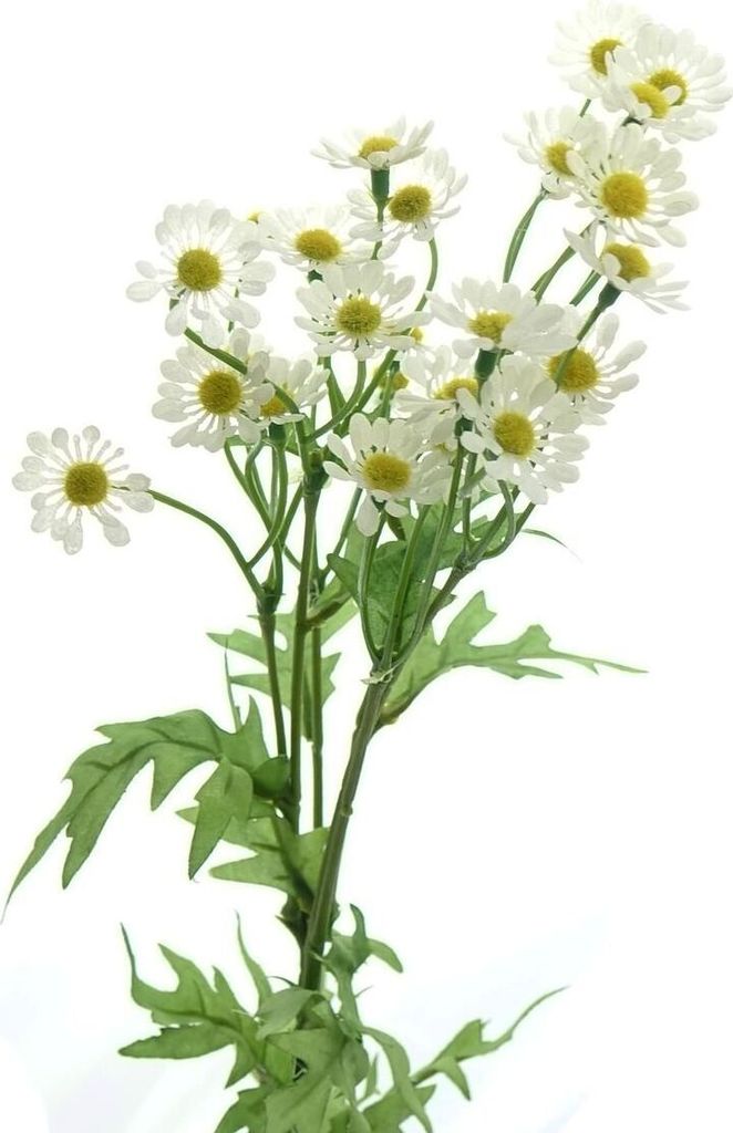 Gasper Kamille weiß ca. 59 cm - Kunstblumen Produktbild 