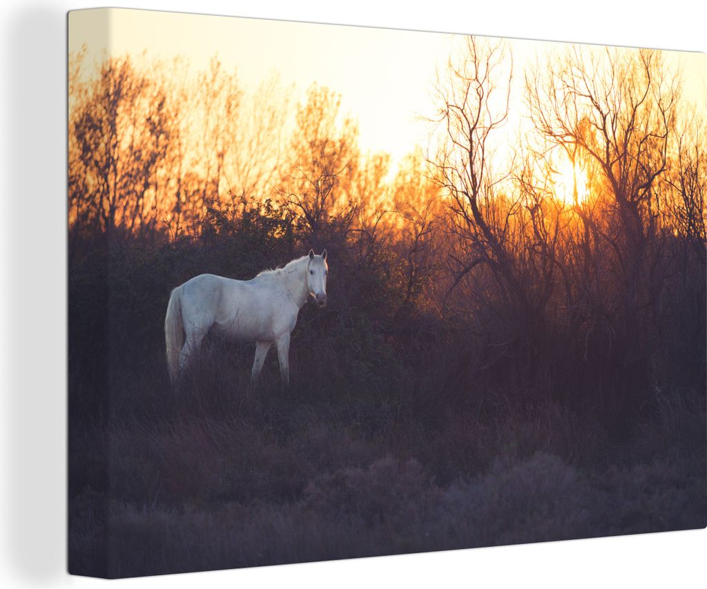 OneMillionCanvasses - Leinwandbilder - 140x90 cm, Ein weißes Pferd in der Camargue, Frankreich bei Sonnenuntergang, Wandbilder Kunstdruck Wandde...