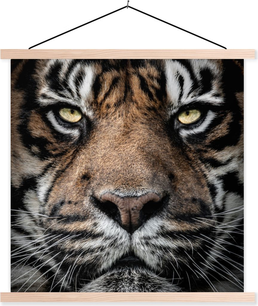 MuchoWow Textilposter Porträt-Tiger auf schwarzem Hintergrund 60x60 cm mit holzfarbenen Rahmen - Wanddekoration