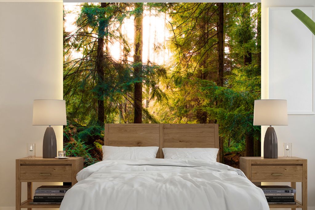 MuchoWow Fototapete für Wohnzimmer oder Schlafzimmer Wandtapete Vinyl Motivtapete Wald - Weg - Bäume - Grün - Sonne - Natur - 280x280 cm - Hin...