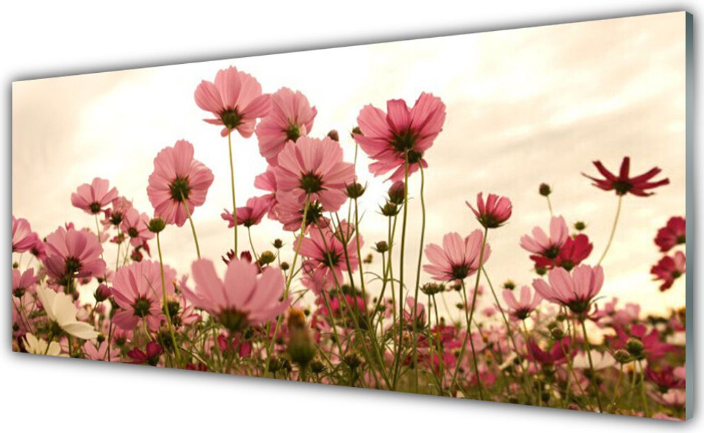 Acrylglasbilder 125x50 Wandbild Druck Blumen Pflanzen Produktbild 