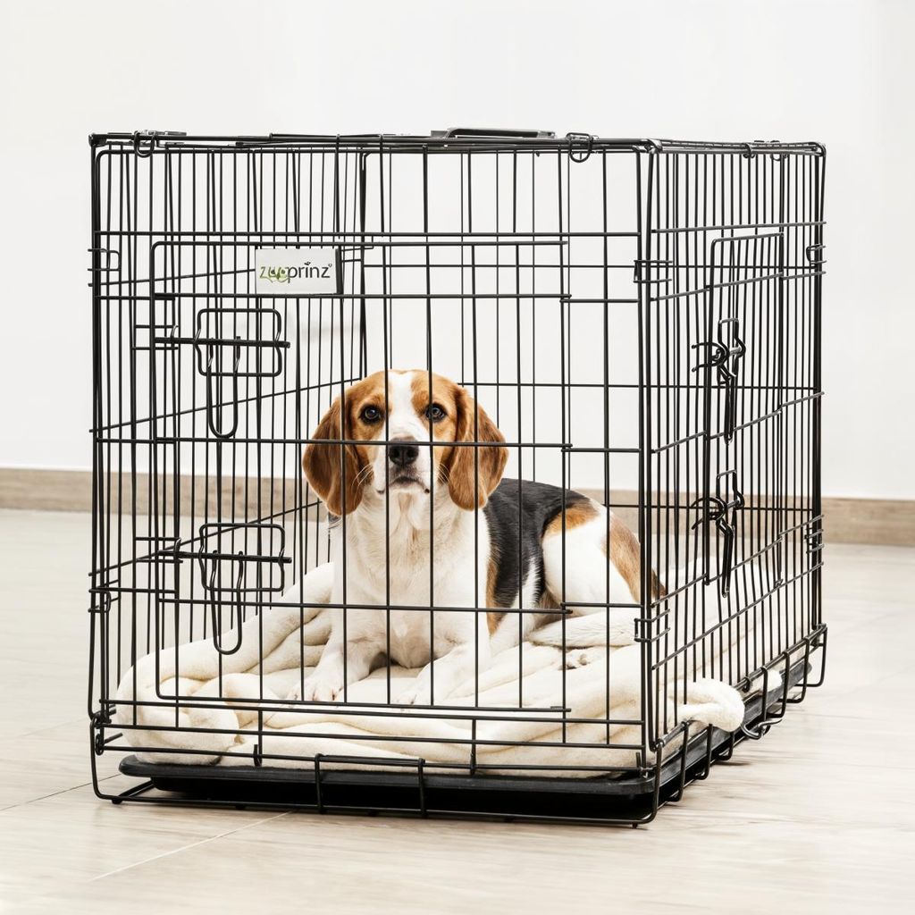 Hunde Transportbox Hundekäfig L zooprinz | Faltbar & Kunststoffwanne | mittlere Hunde | 92,5 × 57,5 × 64 cm | Tragegriff Gitter Box