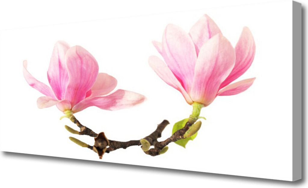 Tulup Leinwand-Bilder 125x50 Wandbild Canvas Kunstdruck Blumen Pflanzen