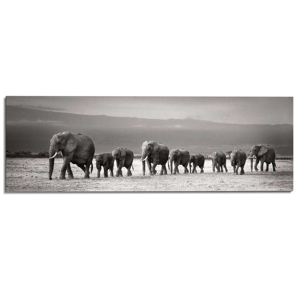 Elefantenmarsch Deco Panel Tiermotiv Wandbild