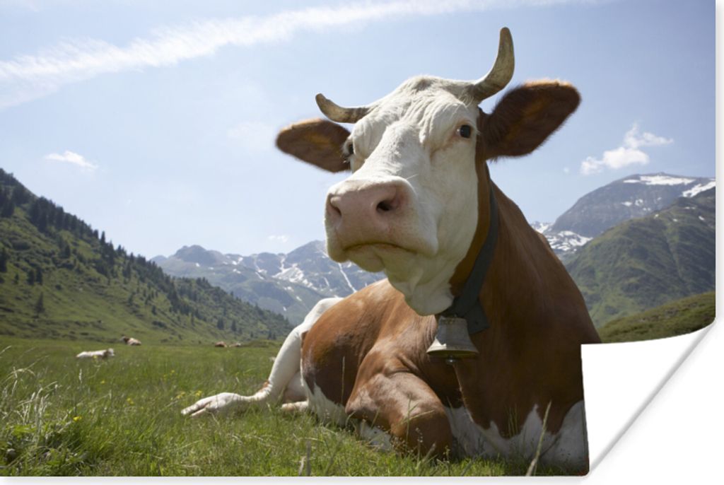MuchoWow Poster Kuh - Berg - Gras 120x80 cm - Bilder