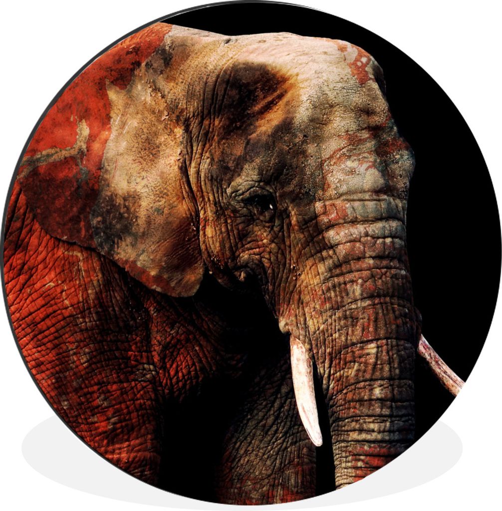 MuchoWow Aluminium Wandkreis Elefant - Rot - Zähne Ø 90 cm Wanddeko Modern Wohnzimmer - Mauerkreis - Wandbilder - Runde Bild - Bild aus Alumini...