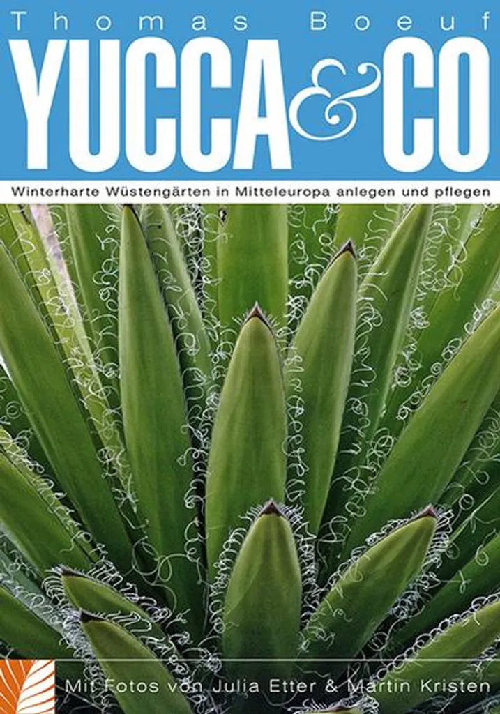 Yucca & Co Plante Artificielle Idéale pour Bureau et Salon sans Lumière