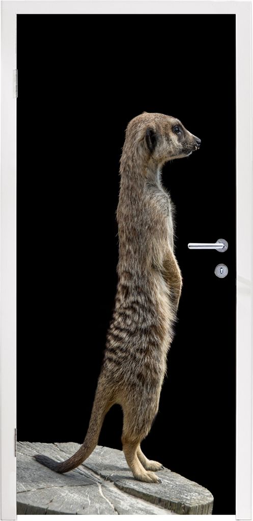 MuchoWow Türtapete Selbstklebende Türfolie Erdmännchen - Wilde Tiere - Schwarz 90x205 cm Türposter Türaufkleber Klebefolie Türklebefolie - ...