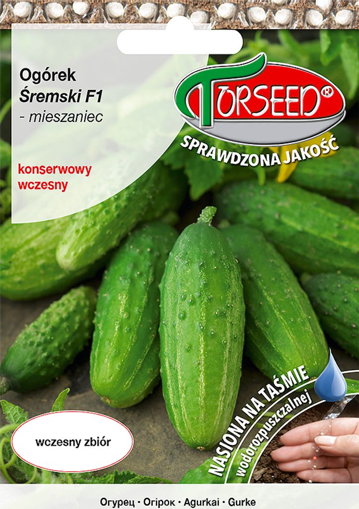 Gemahlene Gurkensamen Sremski F1 TASTE 5g - Torseed