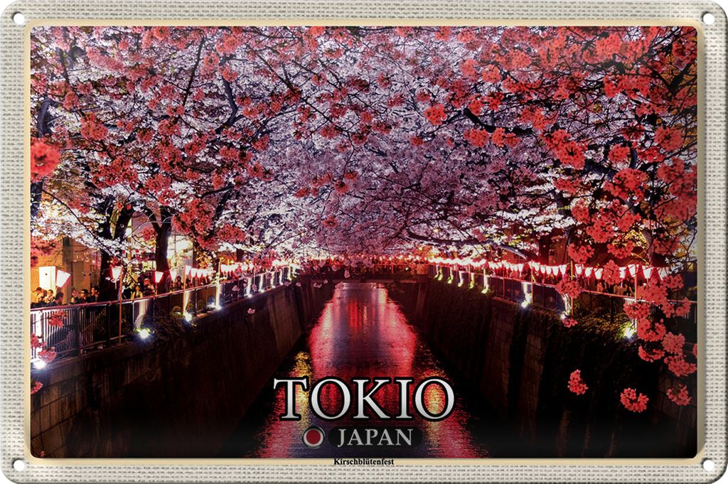 Blechschild Reise 30x20cm Tokio Japan Kirschblütenfest Bäume Fluss
