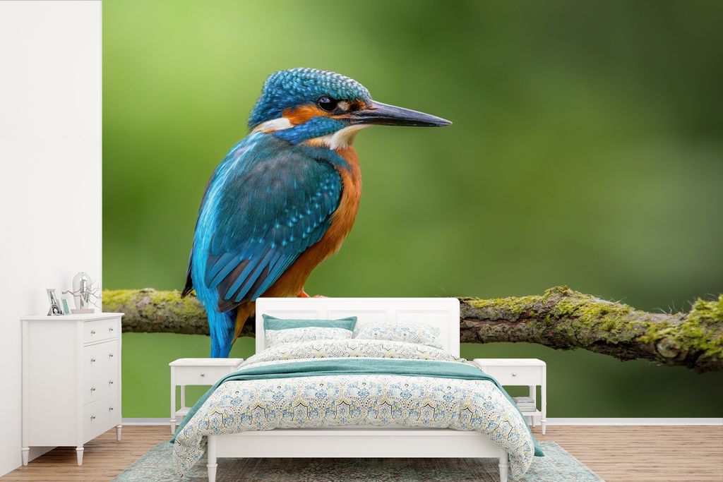 MuchoWow Fototapete für Wohnzimmer oder Schlafzimmer Wandtapete Vinyl Motivtapete Eisvogel - Zweig - Moos - Vogel - Grün - 420x280 cm - Zimmer ...
