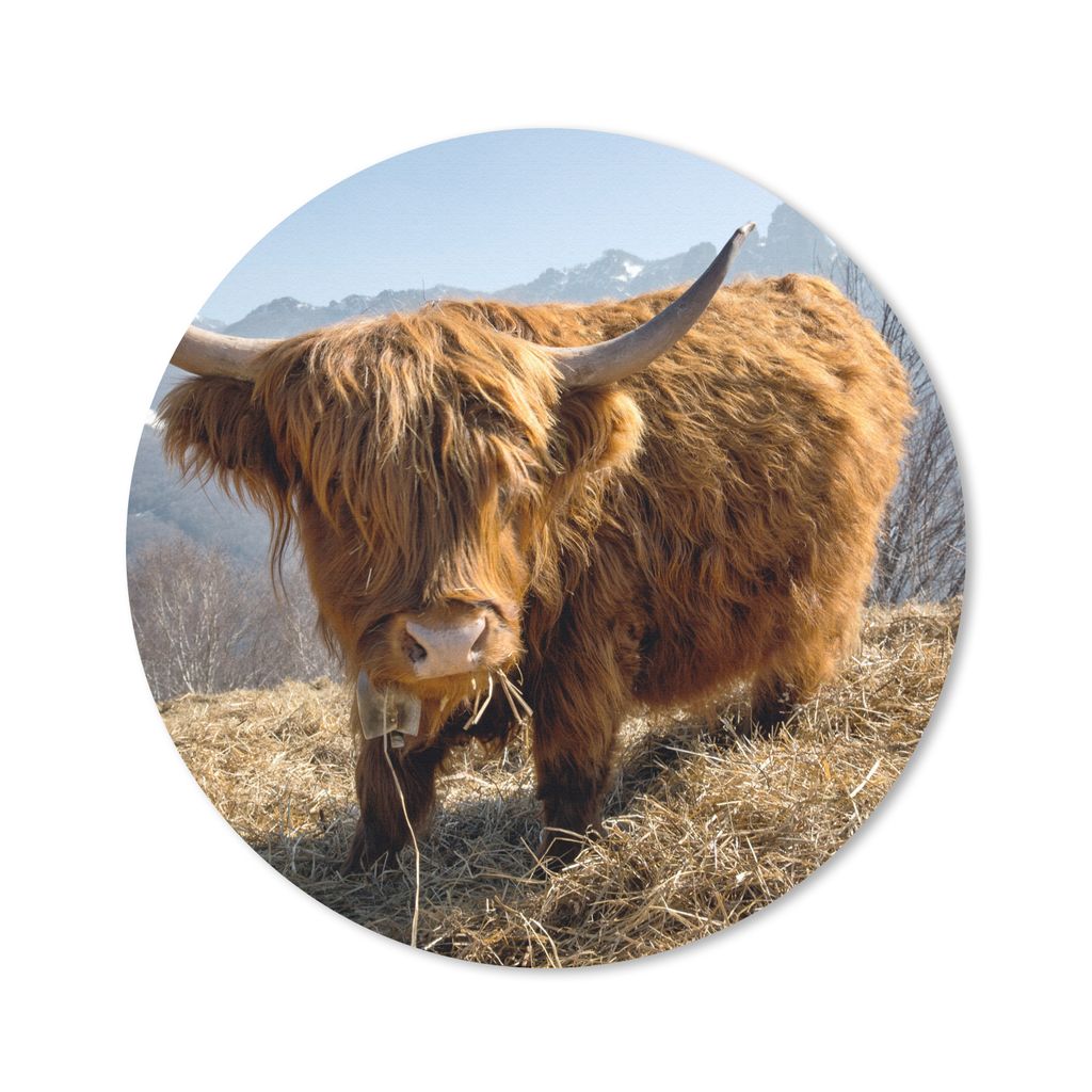 MuchoWow Mauspad Mousepad Schottischer Highlander - Berg - Schnee 40x40 cm - Mousepads - Maus Mat - Pad - Mausunterlage - Schreibtisch Accessoires