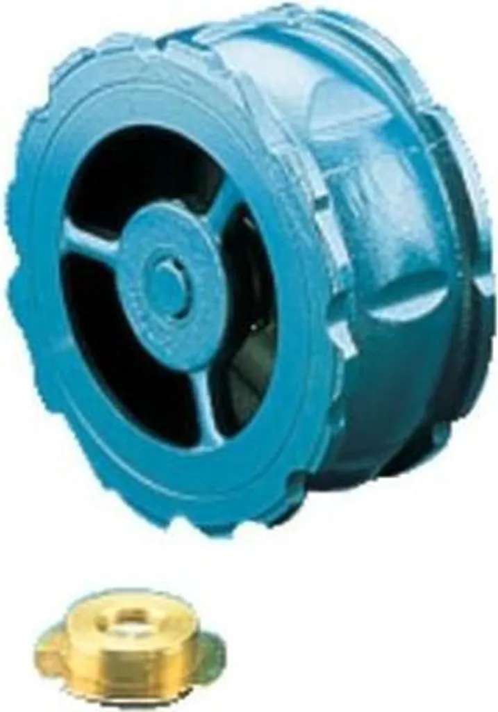 Clapet anti-retour DN80 Type 802 compact pour réseaux d'eau et chauffage