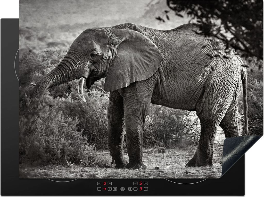 KitchenYeah Herdabdeckplatte Elefant - Tiere - Bäume - Schwarz - Weiß , 70x52cm, Küche Deko, Glaskeramikfeld Herdabdeckung, Abdeckplatte fùr ...