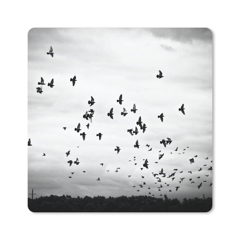 MuchoWow Mauspad Mousepad Tiere - Vögel - Wolken - Schwarz - Weiß 30x30 cm - Mousepads - Maus Mat - Pad - Mausunterlage - Gaming