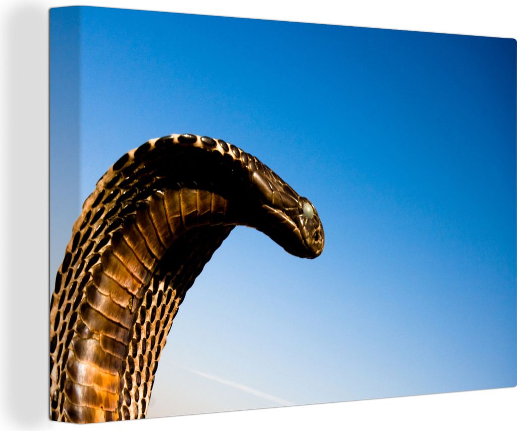 OneMillionCanvasses - Leinwandbilder - 140x90 cm, Cobra-Schlange mit blauem Himmel, Wandbilder Kunstdruck Wanddekoration - Foto auf Leinwand - Ge...