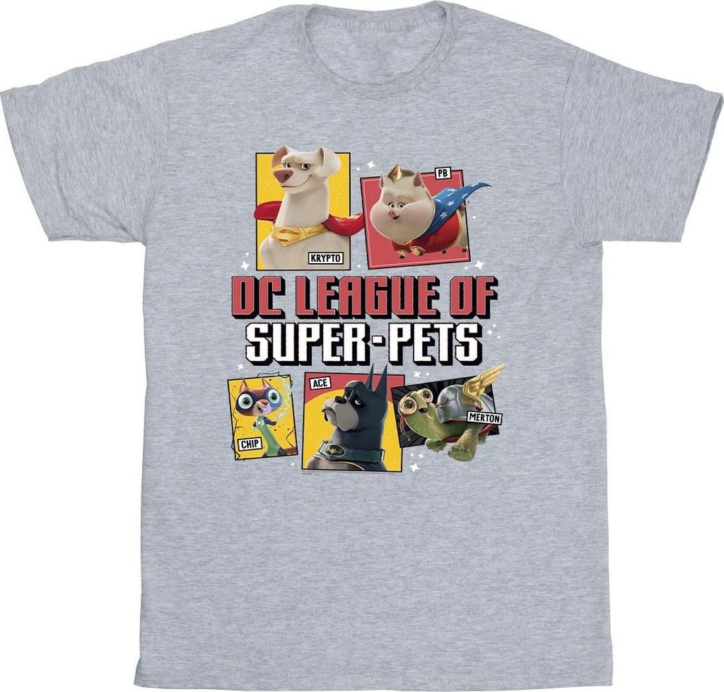 DC Comics - "DC League Of Super-Pets" T-Shirt für Herren BI23401 (4XL) (Grau)