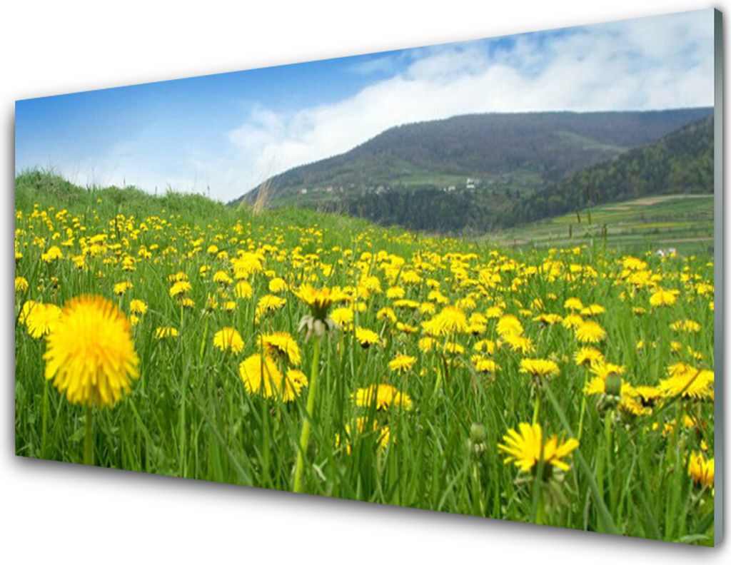 Küchenrückwand aus Glas 100x50cm Spritzschutz Löwenzahn Feld Natur