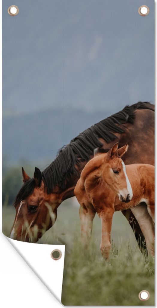 MuchoWow 80x160 cm Outdoor-Poster Gartendeko Sichtschutz Garten Poster für den Garten Pferde - Fohlen - Natur