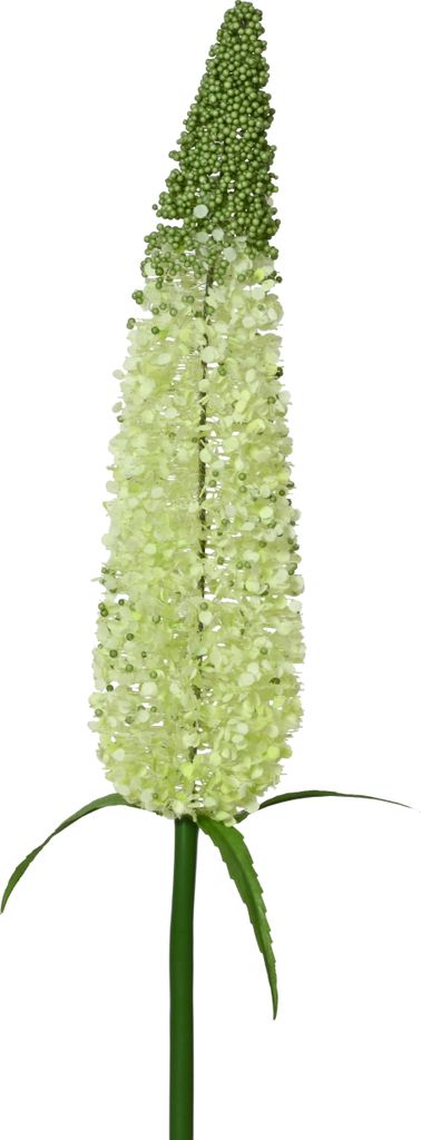 Kunstblume PUSCHEL, Busch am Stiel, 79 cm hoch, hellgrün, aus Schaumstoff und Kunststoff