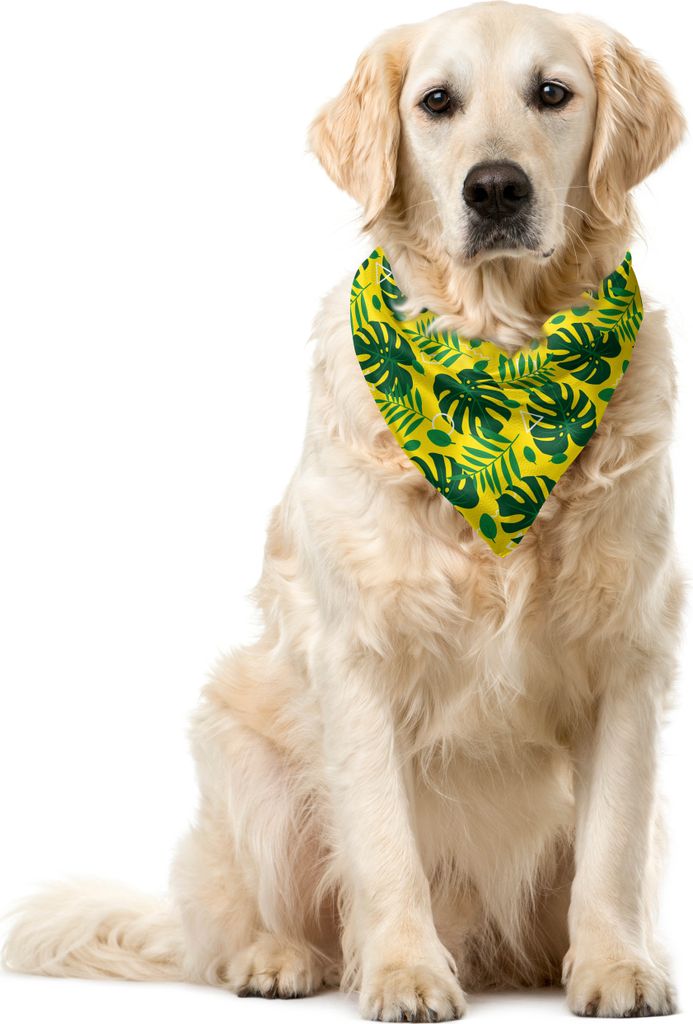 ABAKUHAUS Dschungel Haustier Bandana, Moderne Monstera und Palm, 40x40 cm, Gelbgrün