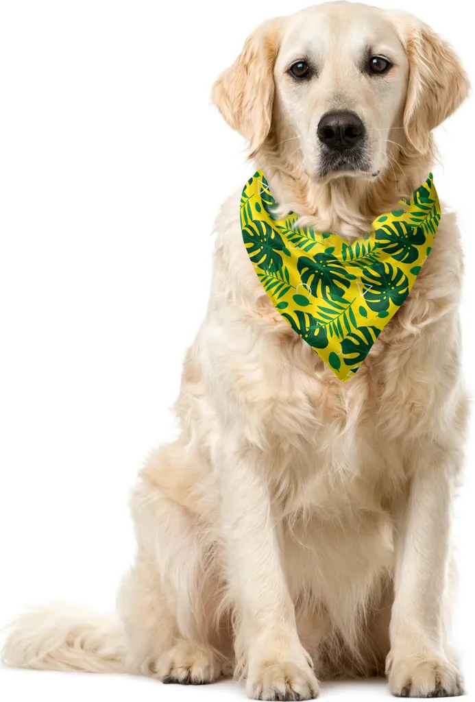 Bandana Cane Resistente ABAKUHAUS 55x55 cm - Jungle Monstera Verde