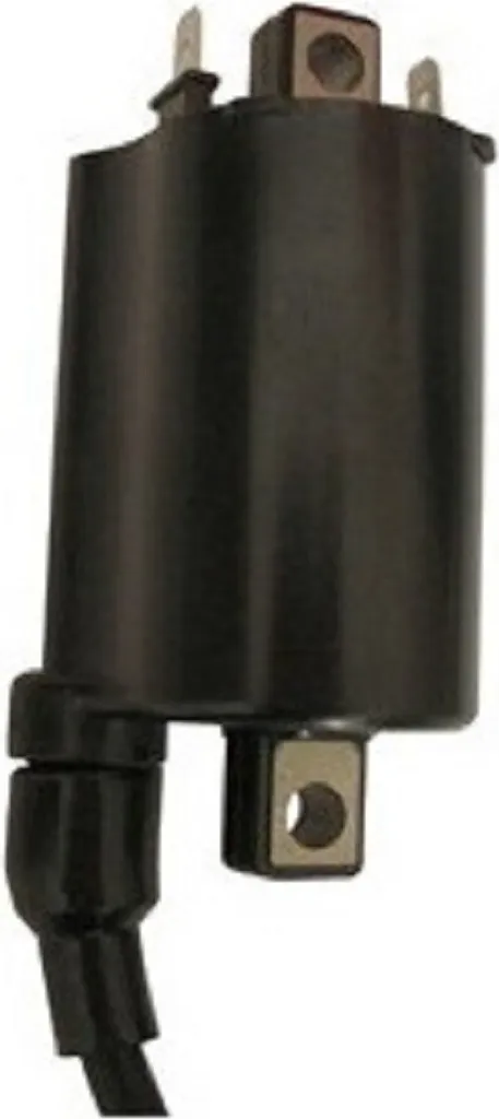 Bobina Alta Tensione 12V 4 OHM SGR 2 Faston Cavo 110cm Universale