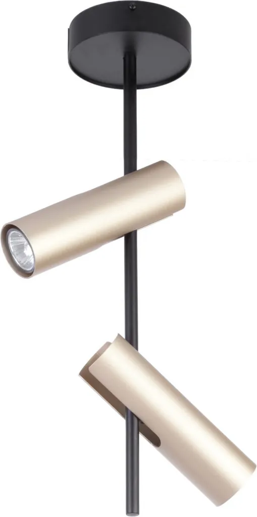 Spot de Plafond Orientable Double Noir et Doré Moderne 25W Leda