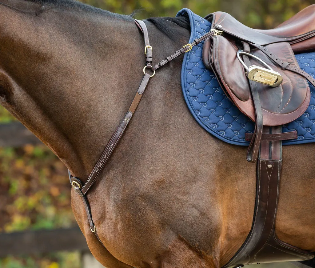 Collier de chasse Dyon D-Collection Bridge Marron Taille Poney pour CSO