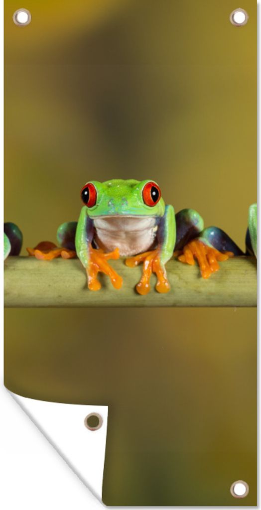 MuchoWow 30x60 cm Outdoor-Poster Gartendeko Sichtschutz Garten Poster für den Garten Frösche - Zweig