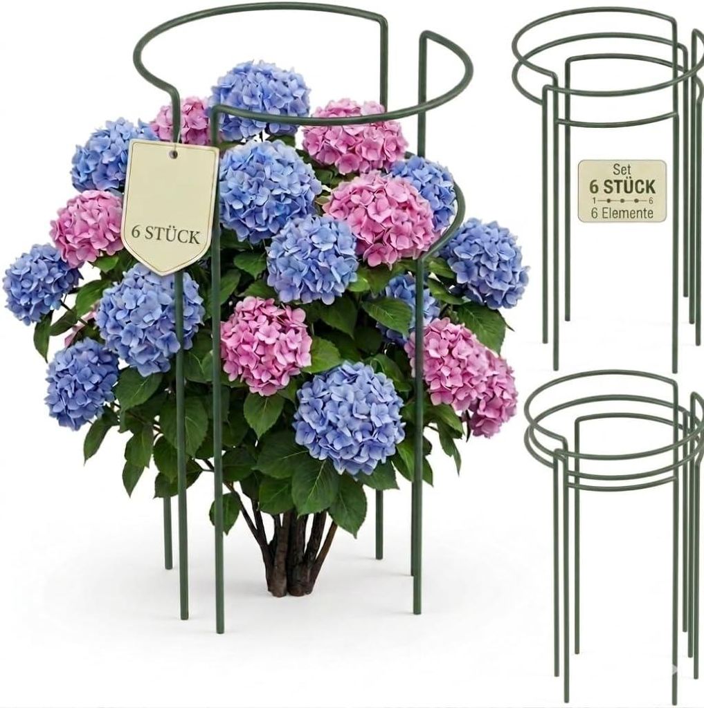 Support pour plantes vivaces en métal 70 cm (x6) - Support Image du produit 