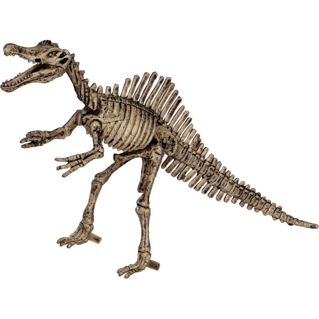 Toysquare DinoWorld Fossile Ausgrabungsset 