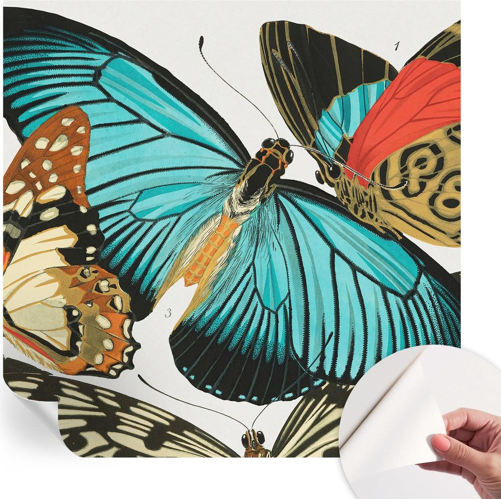 Selbstklebende Wandtapete - Dekorative Tapete für Wohnzimmer - Klebefolie für Wandbilder - Tapetenfolie für Wanddekoration - 250x250 cm - Bunte ...
