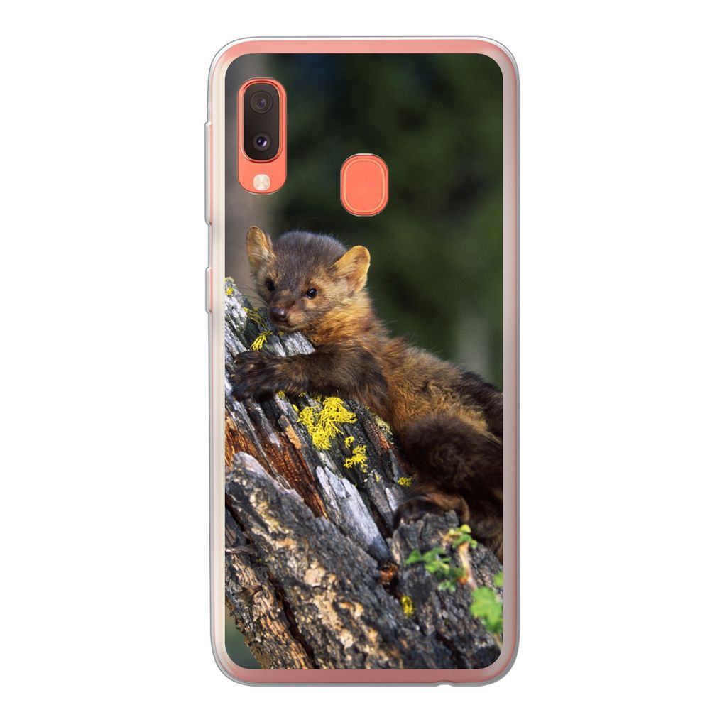MuchoWow Handyhülle Schutzhülle Hülle für Samsung Galaxy A20e Marder - Baum - Wald Silikon Softcase Handy Hülle - Abdeckung